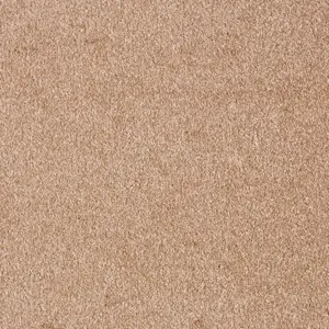 Associated Weavers Sensation New, Sensualite - FSSNWTA41500P 41