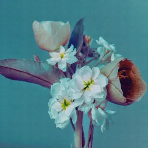 A.S. Création - 382691