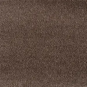 Lano X Wohnen 0414 LEDER 5-Meter Breit Teppichboden LSAN.500.0414
