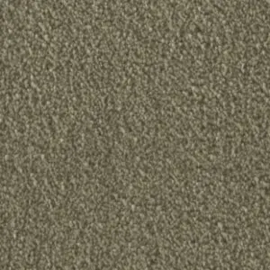 Vorwerk® Fascination, Amelie 4H87 4-Meter Breit Teppichboden 103754A400