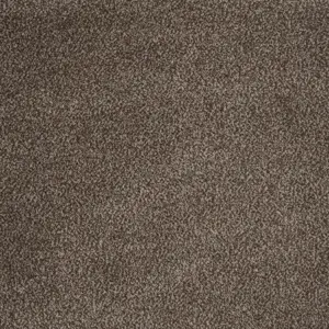 Associated Weavers Majestic, Maverick Wall to Wall - FMJESTA40400P 40