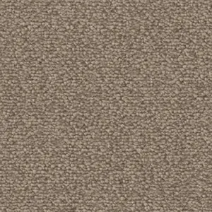 DAS/TEPPICH/WERK Fascination, Lyrica - 103621A500 8L32