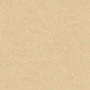 A.S. Création - 301405