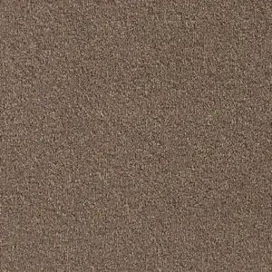 Lano Pilotis - LMIN.400.0270 270 ALMOND