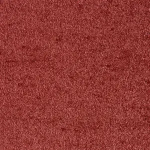 Associated Weavers Sensation New, Sensualite - FSSNWTA19500P 19
