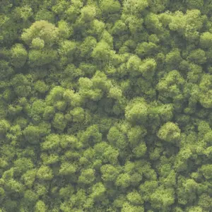 A.S. Création - 394051