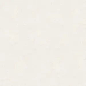 A.S. Création - 343043