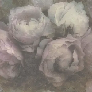 A.S. Création - 373921