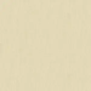 A.S. Création - 301396